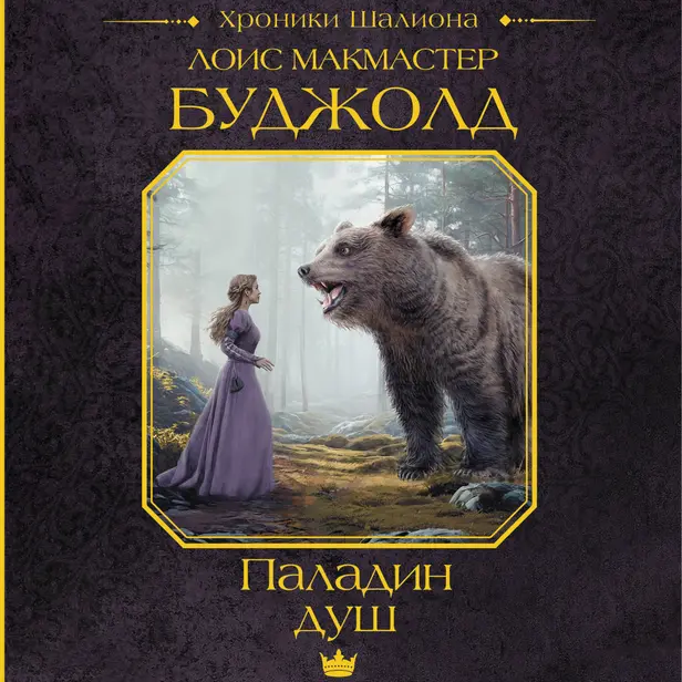 Паладин душ. Обложка