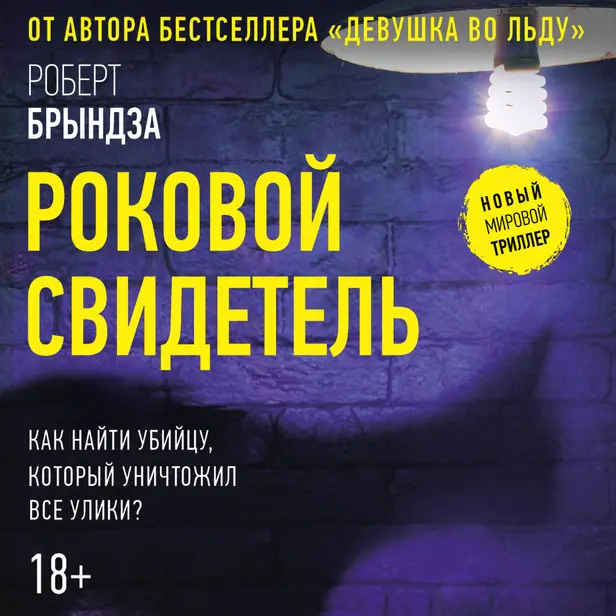 Роковой свидетель. Обложка