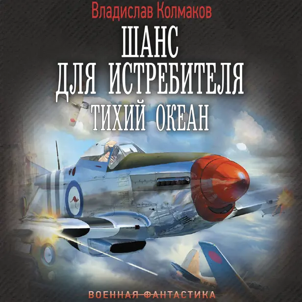Шанс для истребителя. Обложка