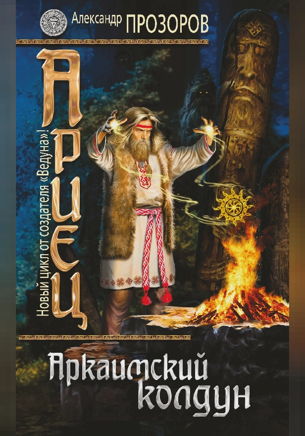 Аркаимский колдун. Обложка