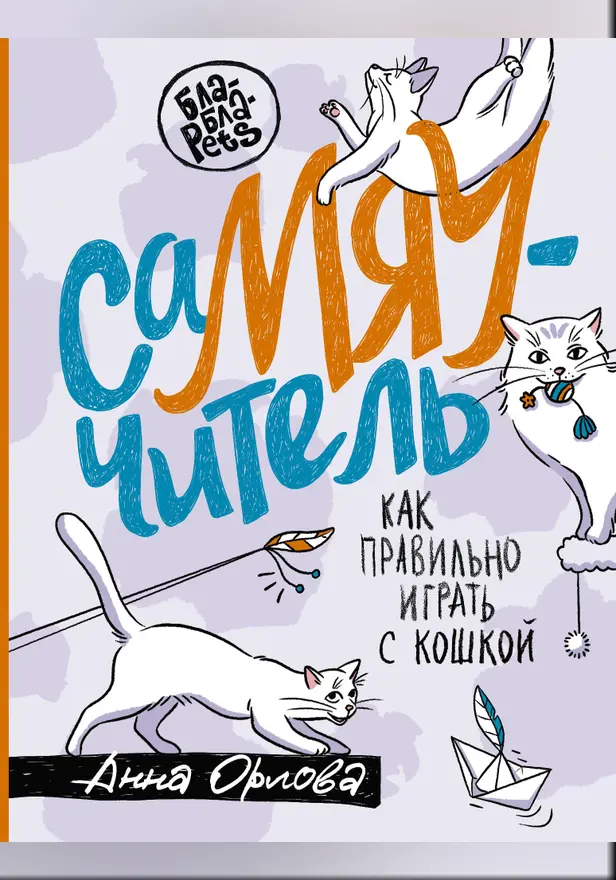 СаМЯУчитель. Как правильно играть с кошкой. Обложка