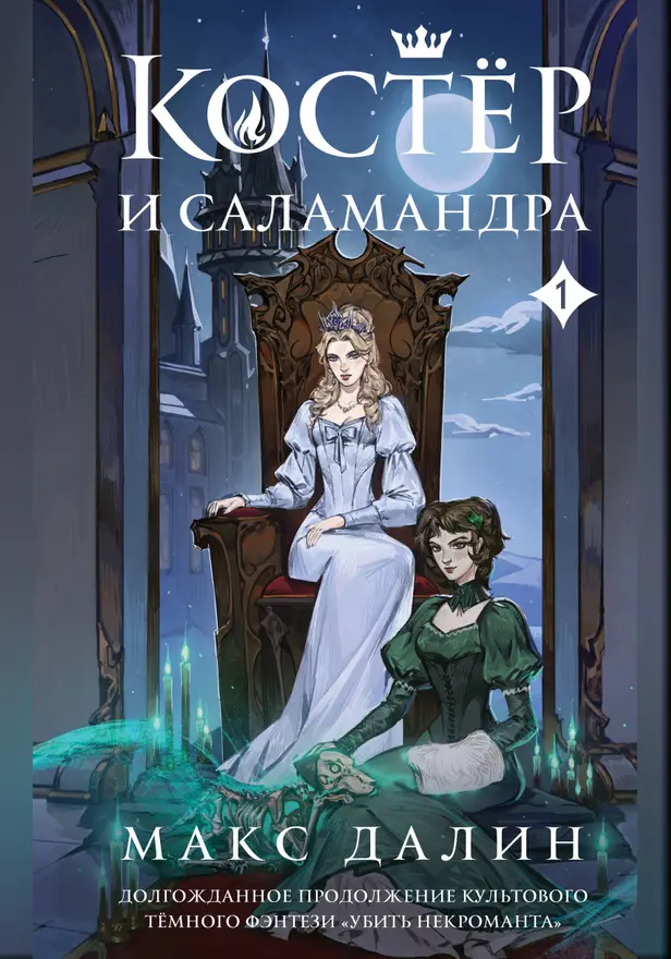 Костер и Саламандра. Книга 1. Обложка