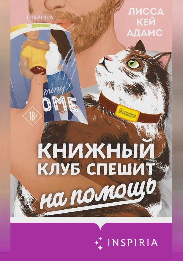 Броманс. Книжный клуб спешит на помощь. Обложка