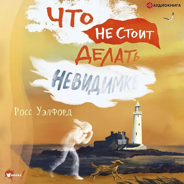 Что не стоит делать невидимке. Обложка