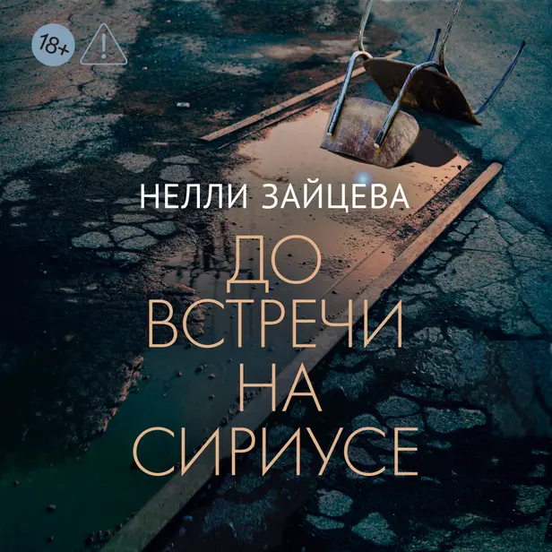До встречи на Сириусе. Обложка