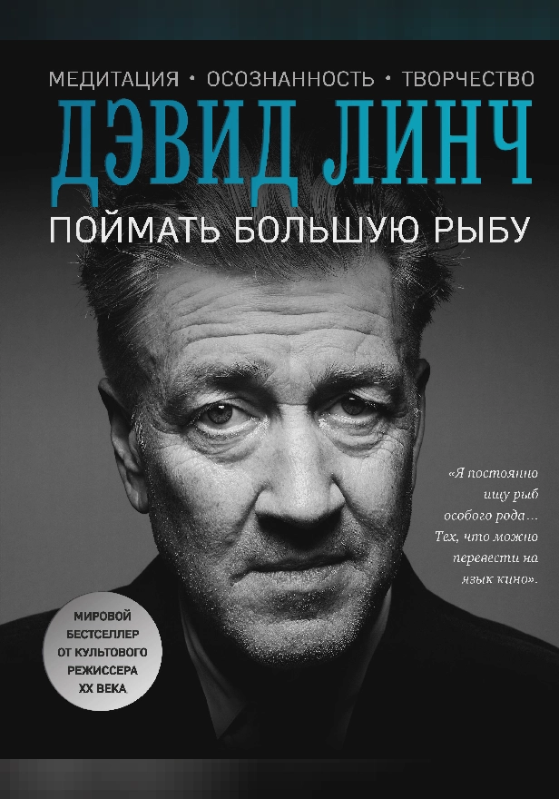 Поймать большую рыбу. Обложка