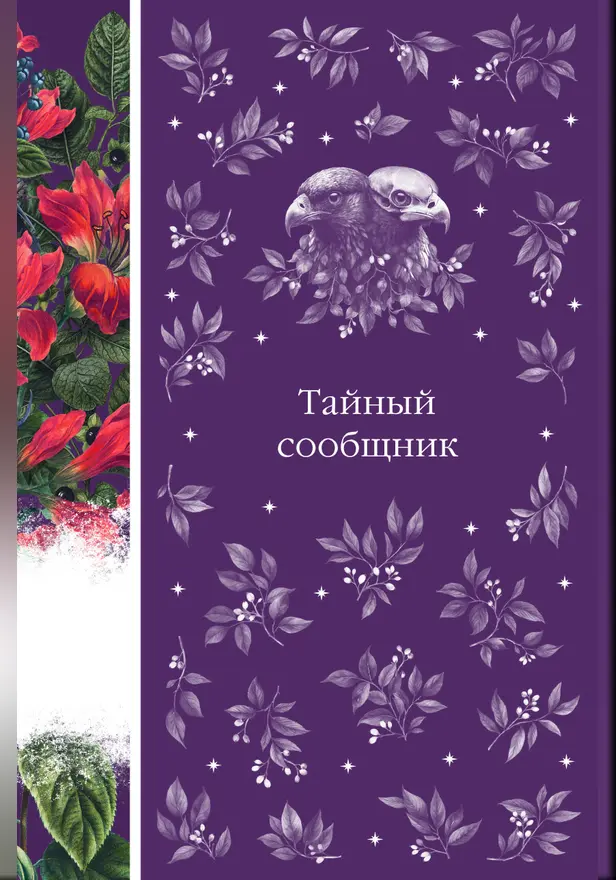 Тайный сообщник. Обложка