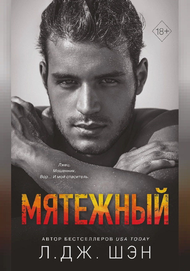 Мятежный. Обложка