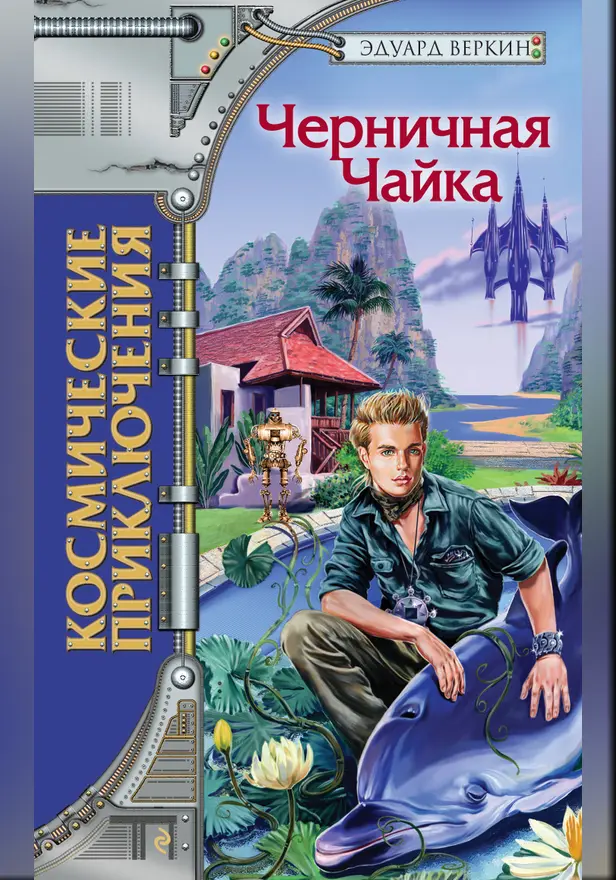 Черничная Чайка. Обложка