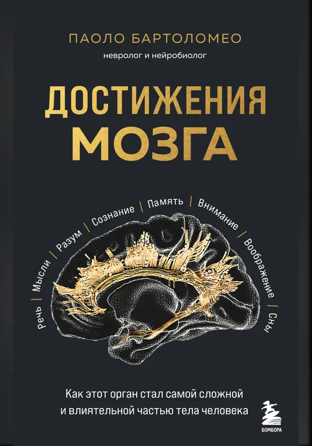 Достижения мозга. Как этот орган стал самой сложной и влиятельной частью тела человека. Обложка