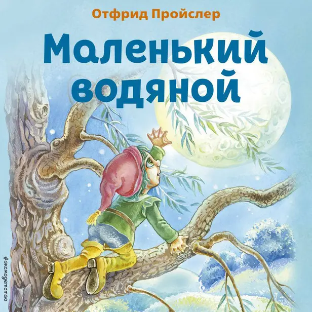 Маленький Водяной. Обложка