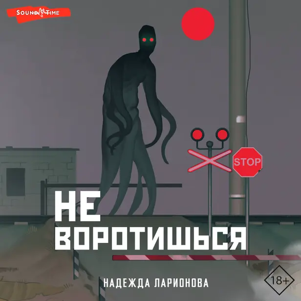 Не воротишься. Обложка