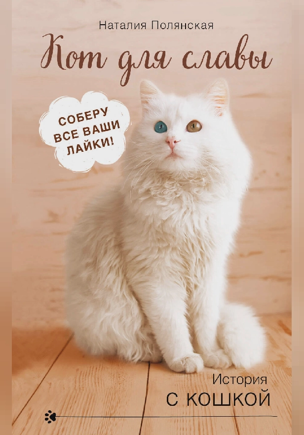 Кот для славы. Обложка