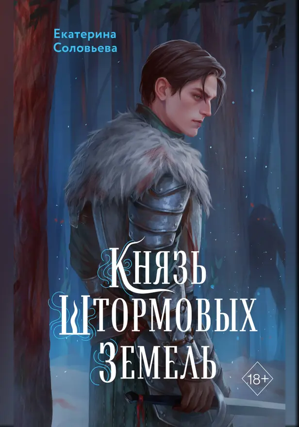 Князь Штормовых Земель. Обложка