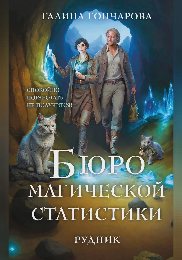 Бюро магической статистики. Рудник. Обложка