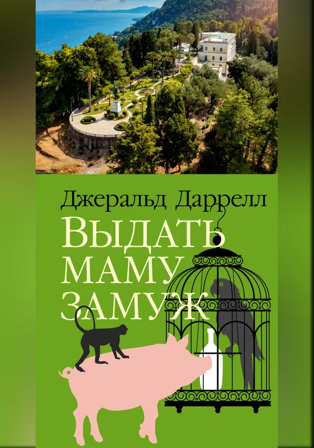 Выдать маму замуж. Обложка