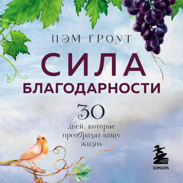 Сила благодарности. 30 дней, которые преобразят вашу жизнь. Обложка