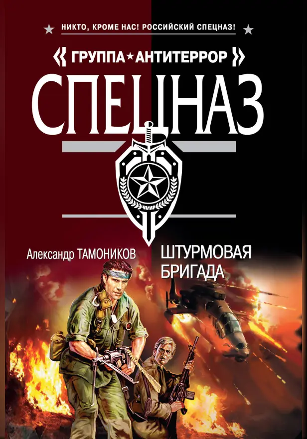Штурмовая бригада. Обложка