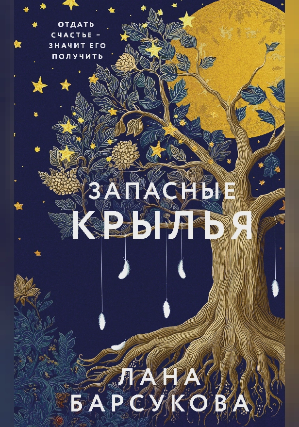 Запасные крылья. Обложка