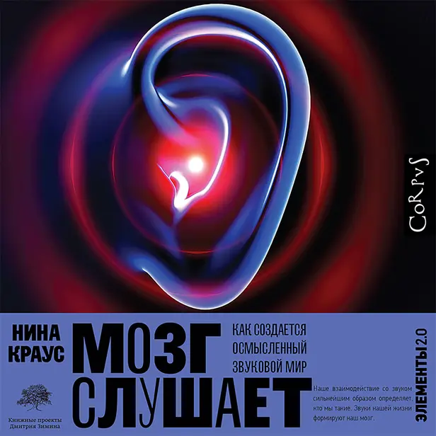 Мозг слушает. Обложка