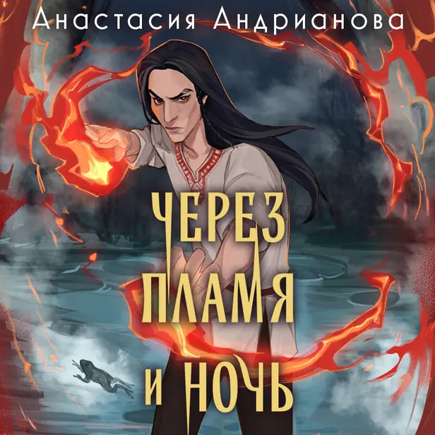 Через пламя и ночь. Обложка