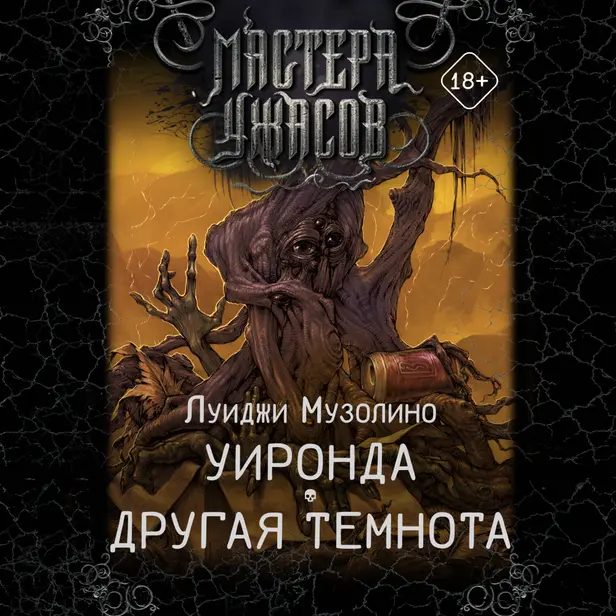 Уиронда. Другая темнота. Обложка