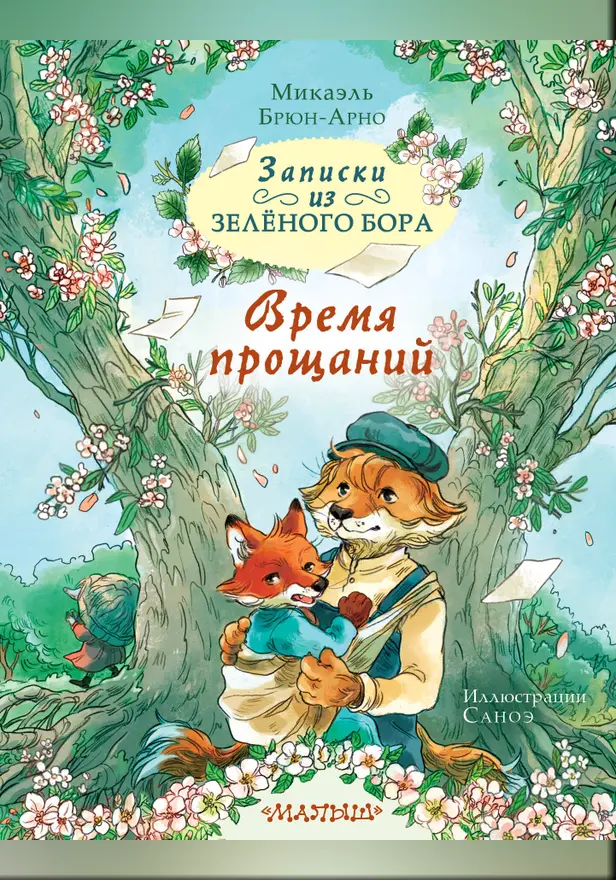Записки из Зелёного Бора. Время прощаний. Обложка