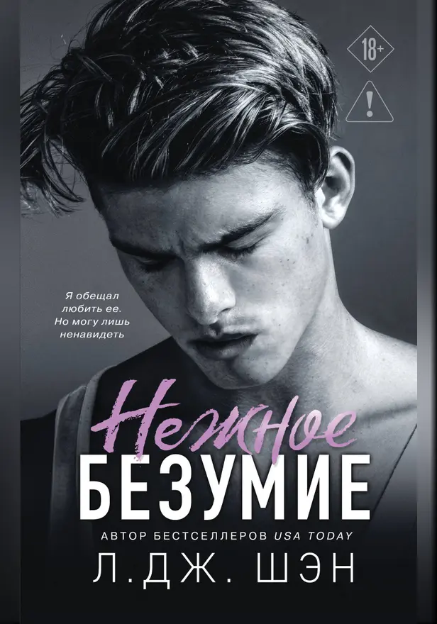 Школа Всех Святых. Нежное безумие. Обложка