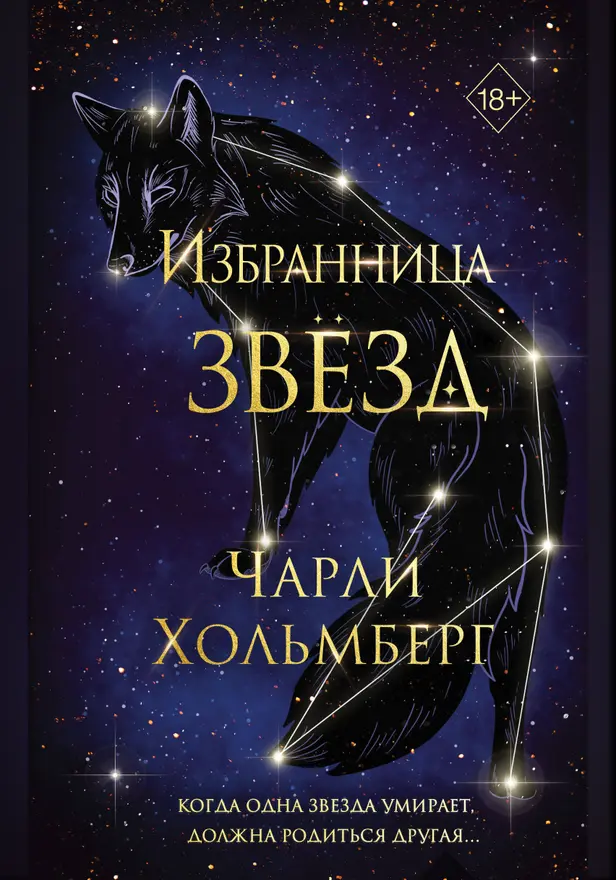 Избранница звёзд. Обложка