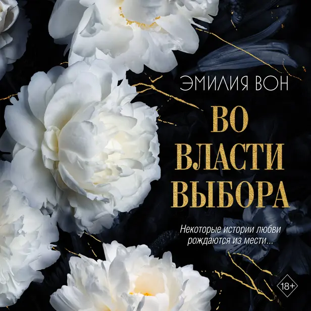 Во власти выбора. Обложка