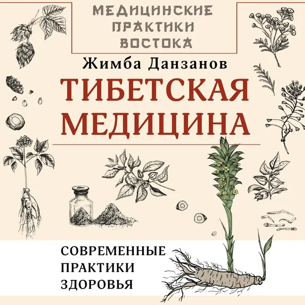 Тибетская медицина: современные практики здоровья. Обложка