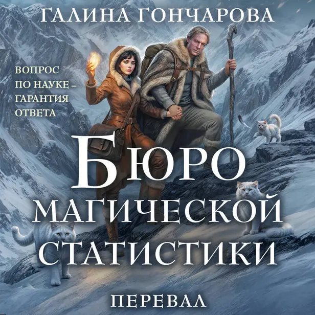 Бюро магической статистики. Перевал. Обложка