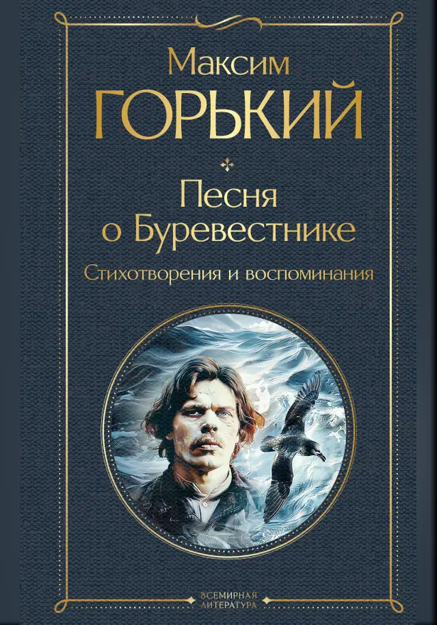 Песня о Буревестнике. Стихотворения и воспоминания. Обложка