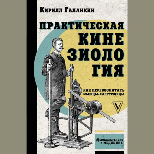 Практическая кинезиология: как перевоспитать мышцы-халтурщицы. Обложка