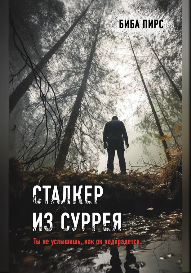 Сталкер из Суррея. Обложка