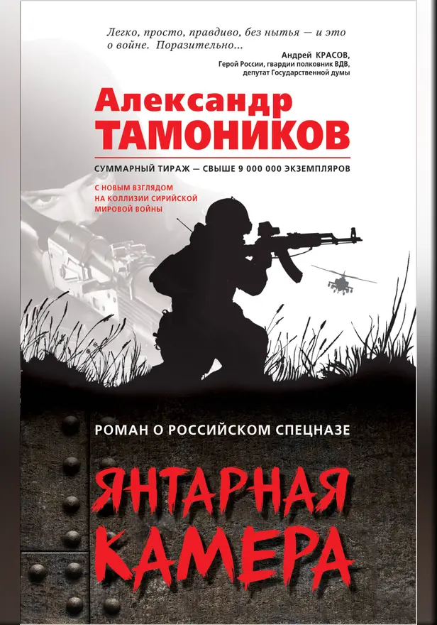 Янтарная камера. Обложка