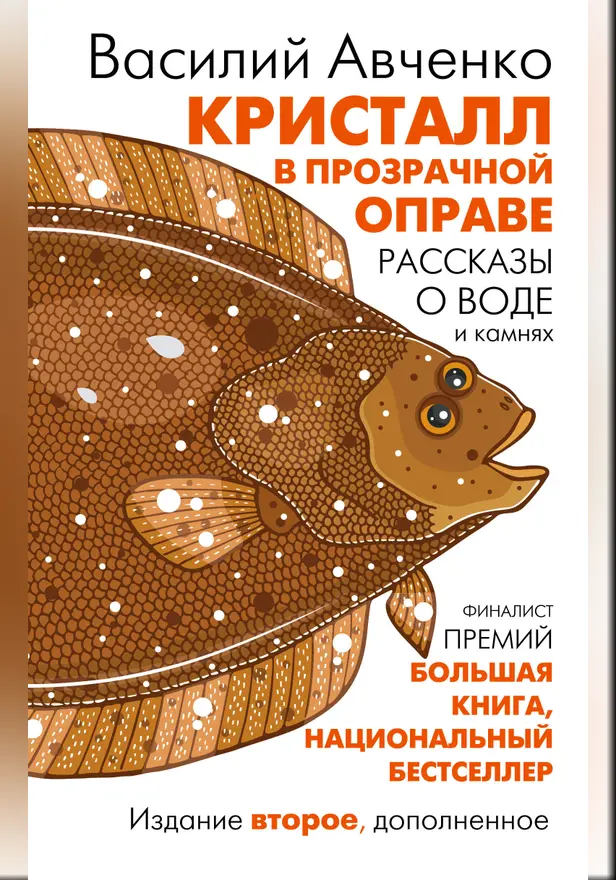 Кристалл в прозрачной оправе. Обложка