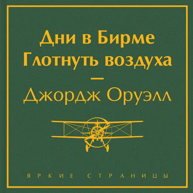 Дни в Бирме. Глотнуть воздуха. Обложка