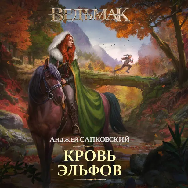 Кровь эльфов. Обложка