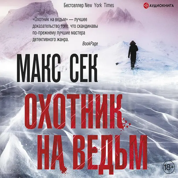 Охотник на ведьм. Обложка