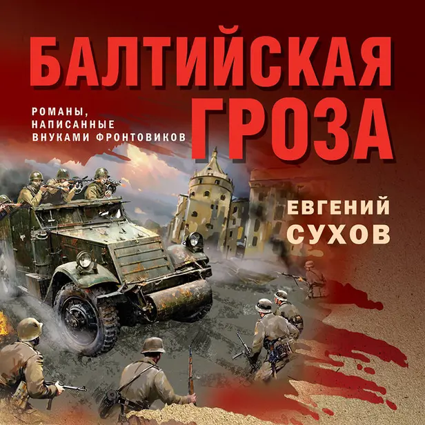 Балтийская гроза. Обложка