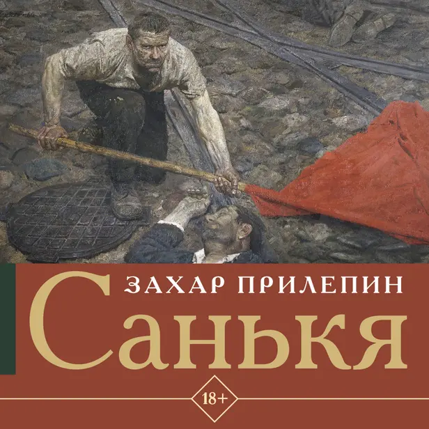Санькя. Обложка