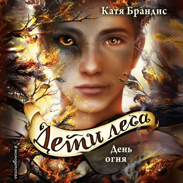 День огня. Обложка