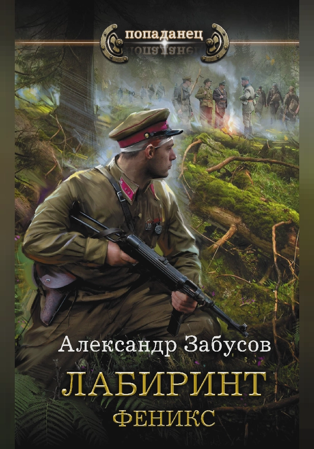 Лабиринт. Феникс. Обложка
