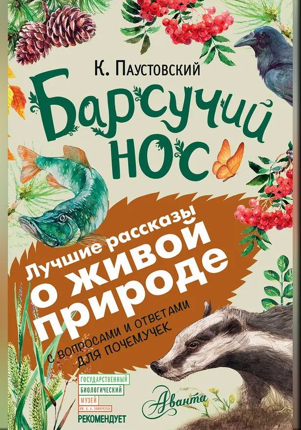 Барсучий нос. Обложка