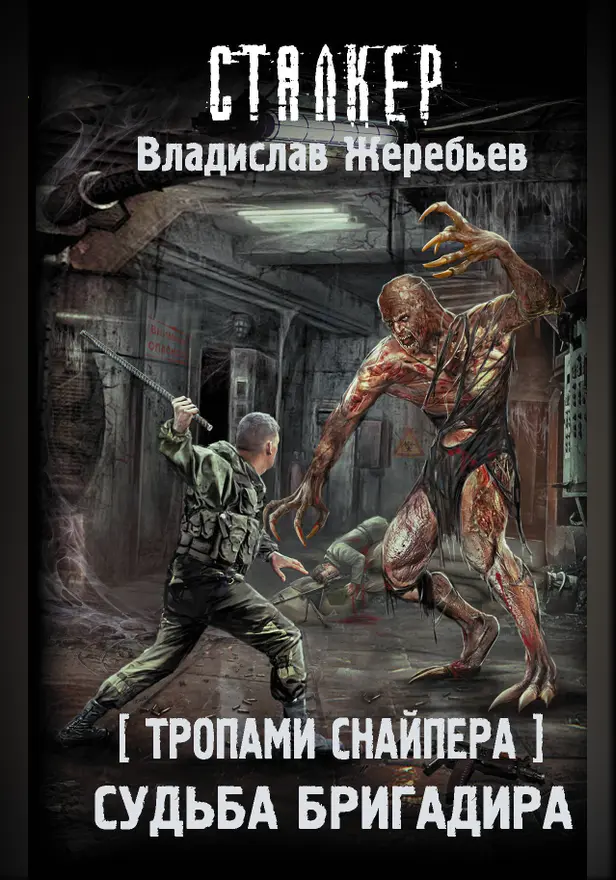 Тропами Снайпера. Судьба Бригадира. Обложка