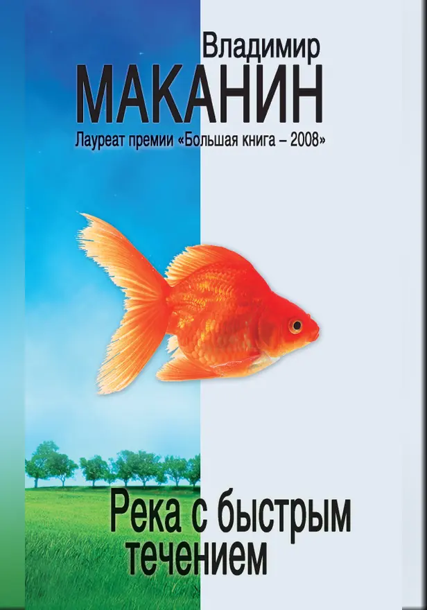 Река с быстрым течением. Обложка