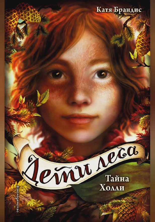 Тайна Холли. Обложка