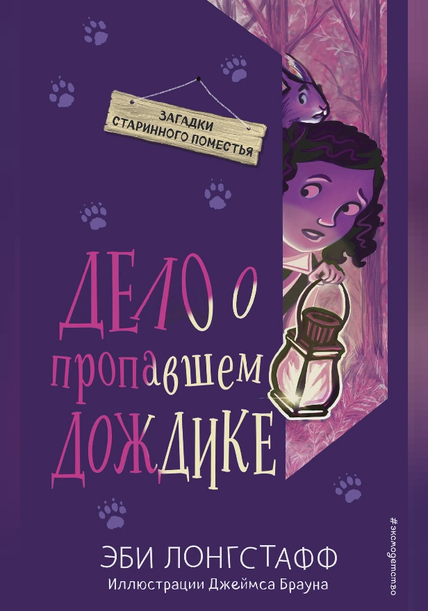 Дело о пропавшем Дождике. Обложка