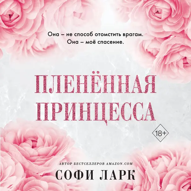 Пленённая принцесса. Обложка
